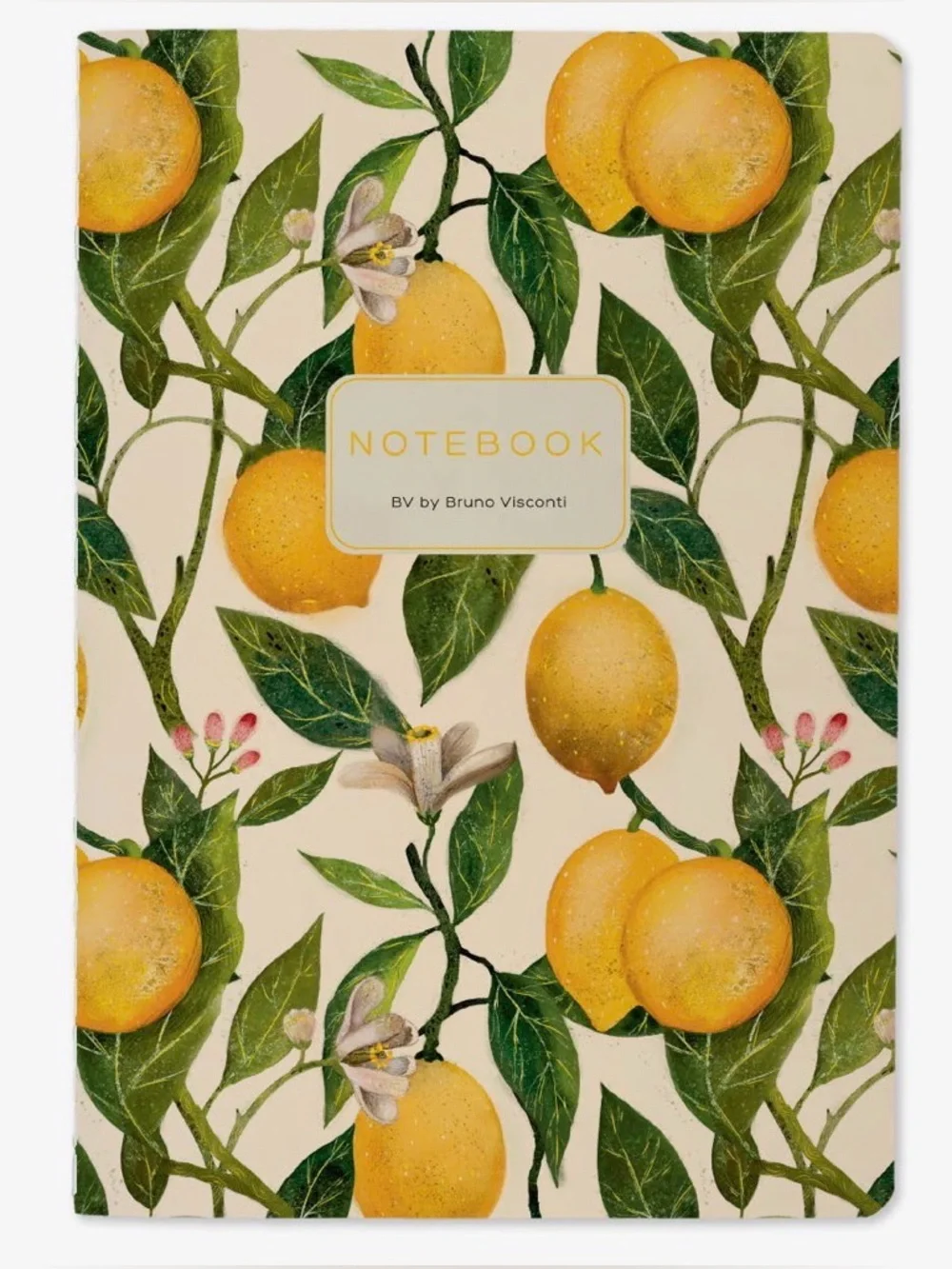 BV by Bruno Visconti these notebooks